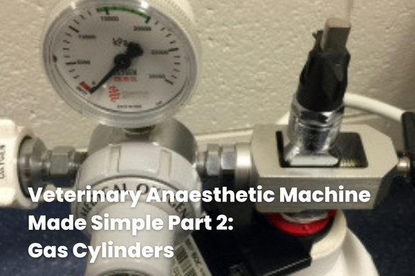 The Veterinary Anaesthetic Machine Made Simple Part 2 Gas Cylinders 